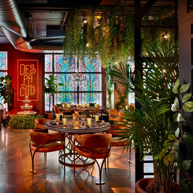 Havana 151 restaurant interior with lush hanging plants, stained glass windows, and a "DESPACITO" neon sign.