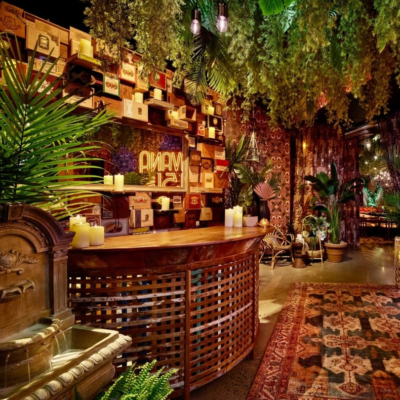 Havana 151's bar area with a wooden counter, cigar box wall, lush plants, and a patterned rug.