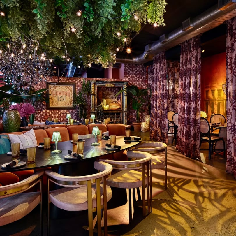 Havana 151 restaurant interior with lush greenery, string lights, and patterned curtains.