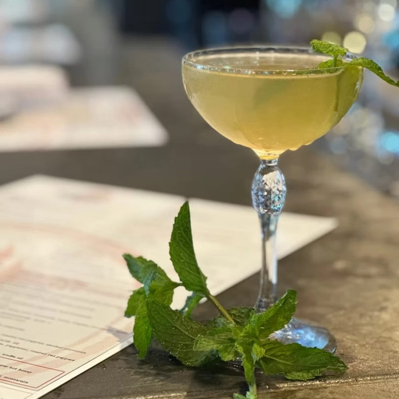 A Havana 151 cocktail in a coupe glass, garnished with mint, on a bar with a menu.