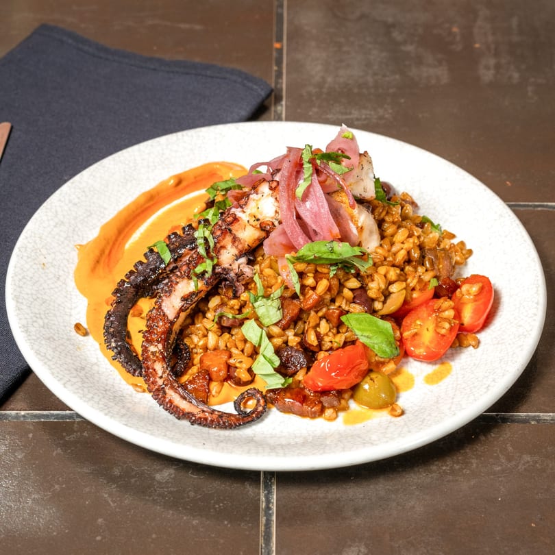 Grilled octopus with farro, pickled onions, cherry tomatoes, and basil on a white plate.