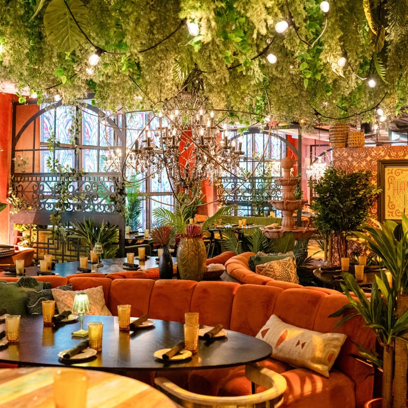 Havana 151 restaurant interior with lush greenery, string lights, chandeliers, and orange banquette seating.